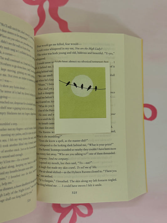 Birds Polaroid Art Print